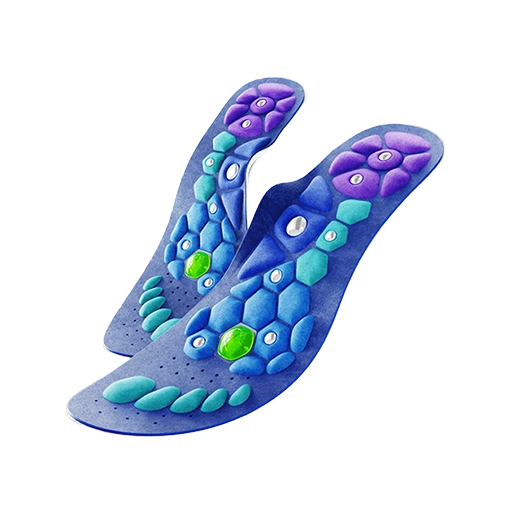 Evo Step