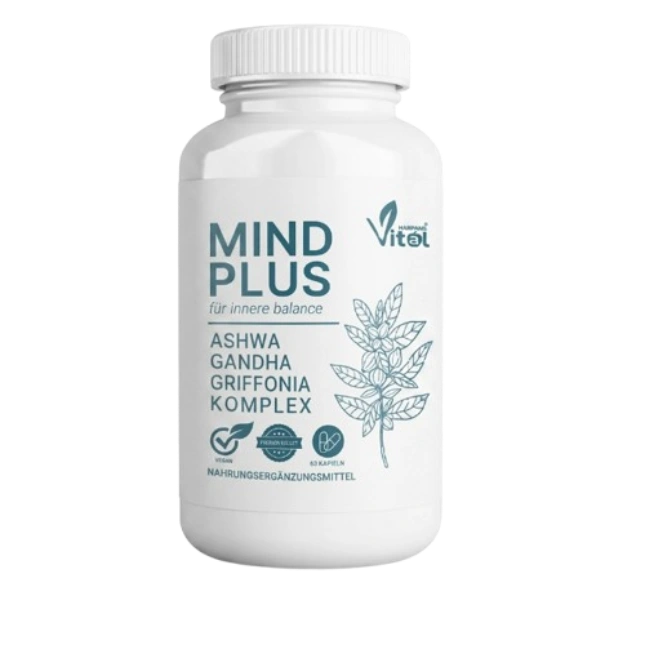 MindPlus
